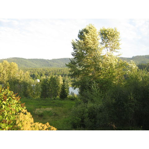 Priest River: evening