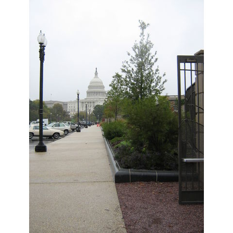US Capitol