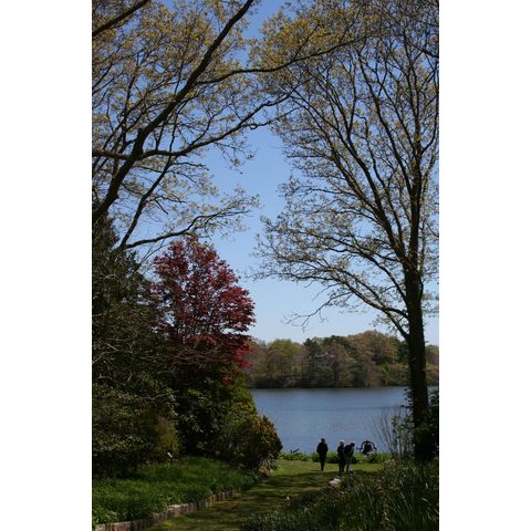 Spohr Gardens: Oyster Pond