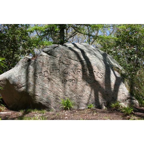 Spohr Gardens Stone