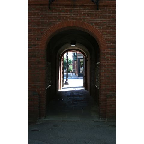 Harvard University, campus