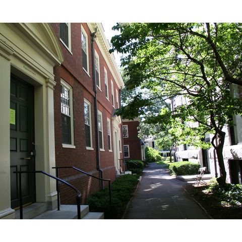 Harvard University, campus