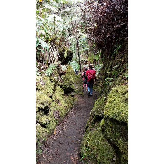 trail, hawaii volcanoes national park