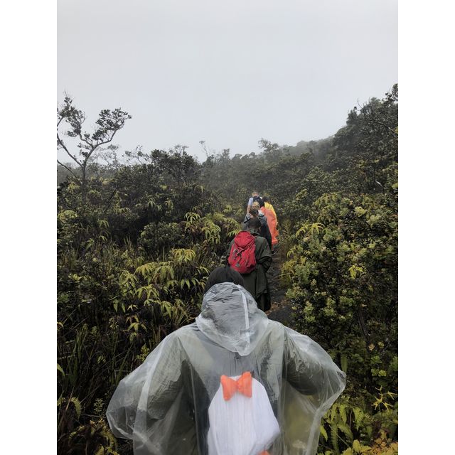 hiking up kaumana trail
