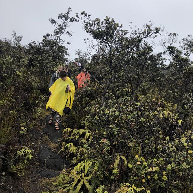 everyone being careful not to trip on rocks