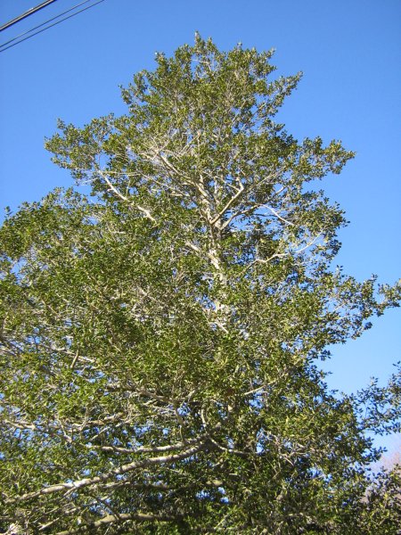 img_1502.jpg