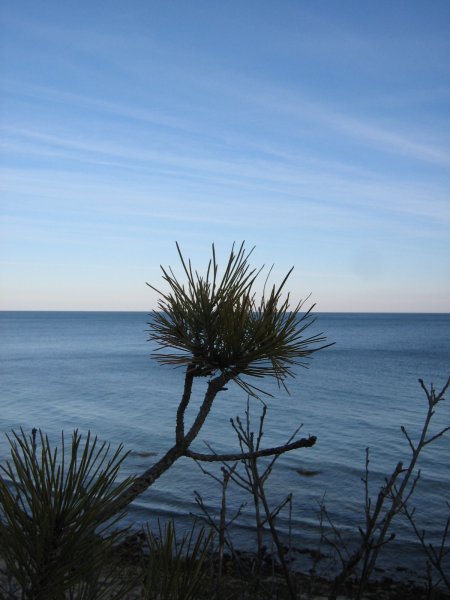 img_1565.jpg